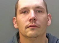 Drugs conviction