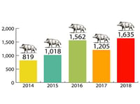 Boar numbers up