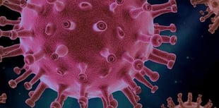 Health coronavirus round-up