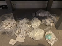 Police seize drugs worth £130,000