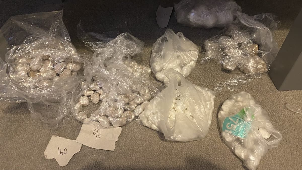 Police Seize Drugs Worth £130000 Uk