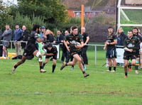 Cheltenham Tigers given a mauling by Newent RFC