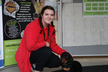 Wardens are ‘gold’ for dog care for ninth year
