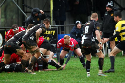Young Lydney RFC side dominant in Cornwall