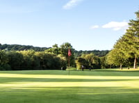 Another hole-in-one at Forest Hills