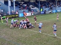 Bonus point for Cinderford as Sale go back top