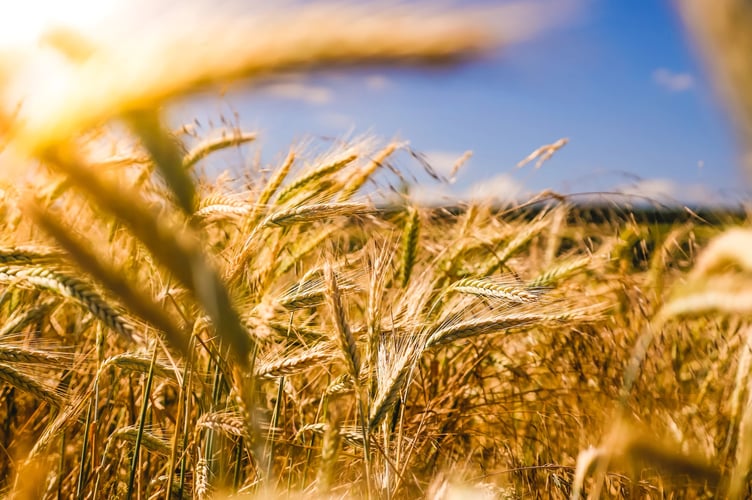 farming stock image