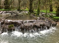 Damage fears for protected brook over holiday lodges plan