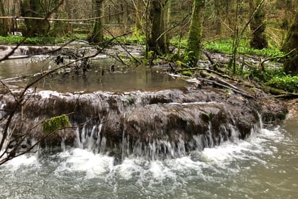 Damage fears for protected brook over holiday lodges plan