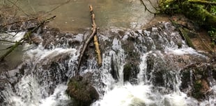 Wye Valley's unique tufa dams