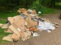 Nearly £2,000 in fines for fibbing fly tipper