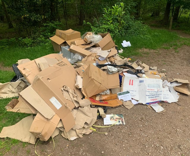 Nearly £2,000 in fines for fibbing fly tipper