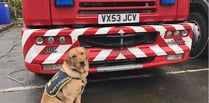 Eleven-month-old guide dog met fire engine that inspired his name