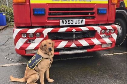 Eleven-month-old guide dog met fire engine that inspired his name