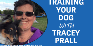 Training your dog with Tracey Prall