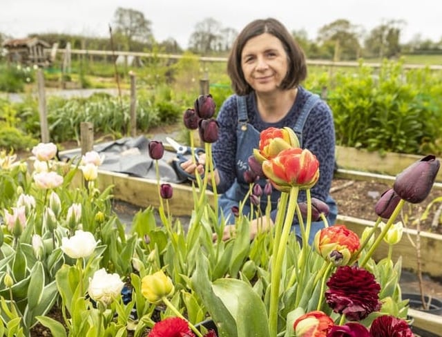 Jo proves cut above with Coronation flowers role