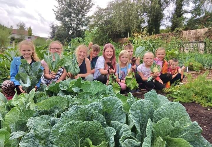 Fun in the cabbages at Ross, Haygrove Community Gardens