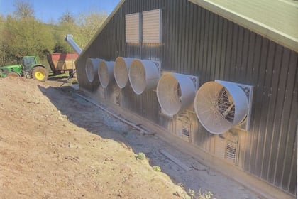 'Noisy' chicken shed fans at Monmouthshire farm to be removed