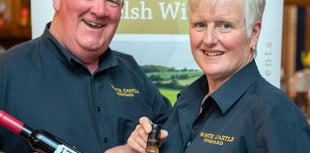 White Castle vineyard marks Welsh Wine Week