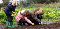 Monmouthshire pupils get hands-on experience at Langtons Farm