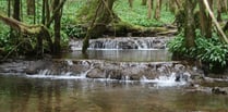 Council considers harnessing power of streams to generate electricity