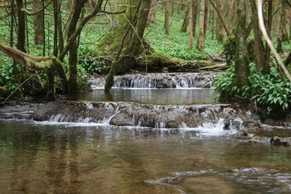 Council considers harnessing power of streams to generate electricity