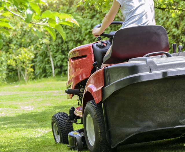 Forest of Dean Council calls for “no mow May” to help wildlife 