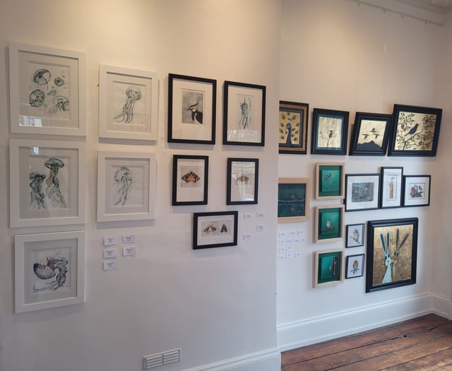 All creatures tiny to tall feature in Newnham art exhibition