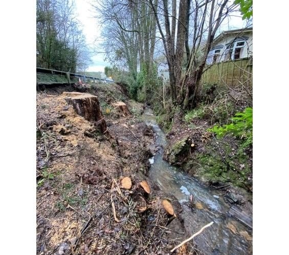 The landslip at Longhope