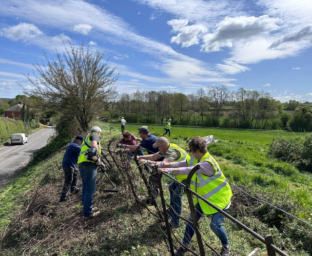 Dymock banks on daffodil restoration project for biodiversity drive
