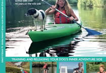 Angela's wild about paws and paddles