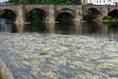 Join the No Win No Fee action against pollution on River Wye