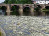 Join the No Win No Fee action against pollution on River Wye