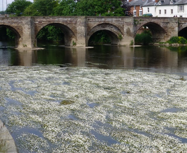 Join the No Win No Fee action against pollution on River Wye