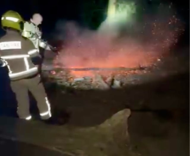 Firefighters called to put out woodland bonfire started by teens