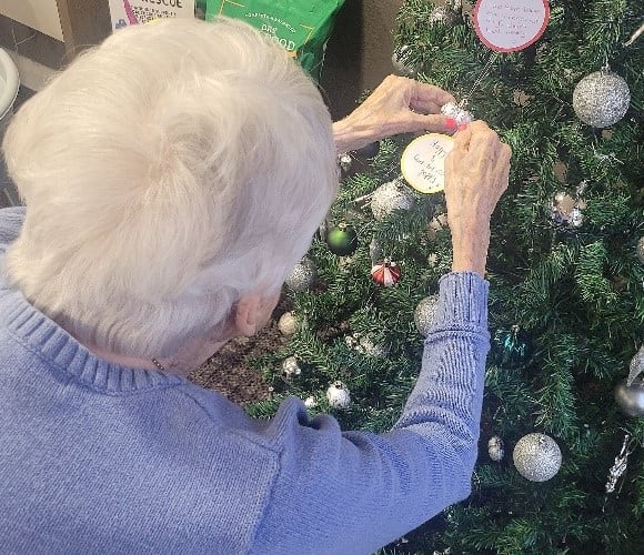 Lydney's memory tree