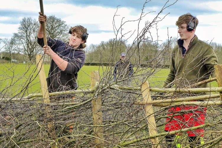 Max and Oliver getting stuck in